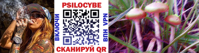 Псилоцибиновые грибы GOLDEN TEACHER Гусь-Хрустальный