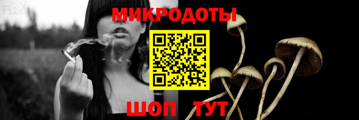 Псилоцибиновые грибы MAGIC MUSHROOMS  Вход с VPN  Гусь-Хрустальный 